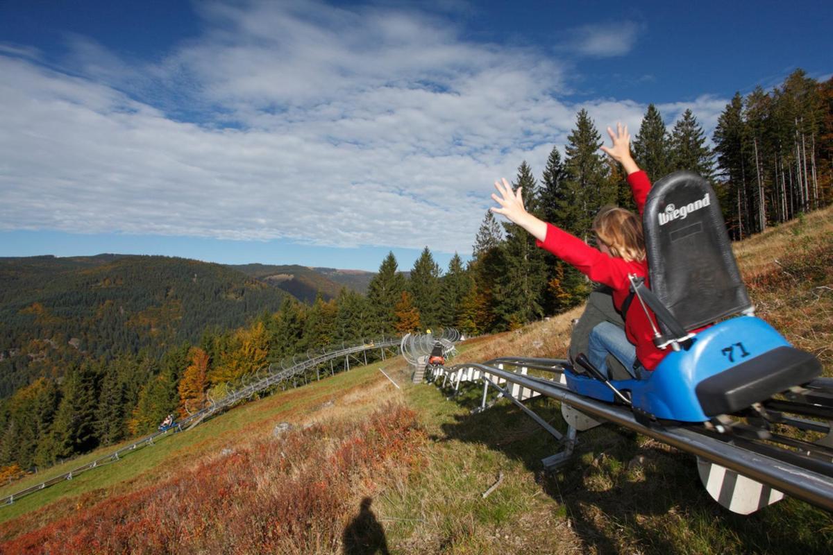 Black Forest Living - Todtnaubergアパートメント エクステリア 写真